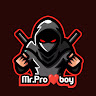 MR. PRO BOY