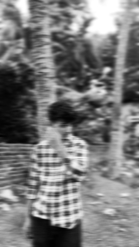 খায়রুল আলম 