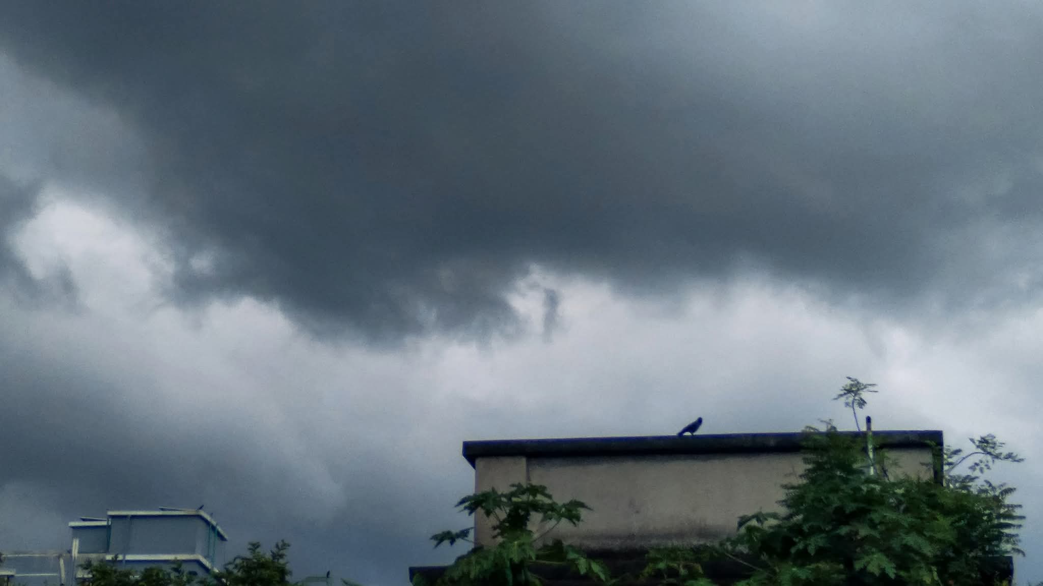 উত্তরা বসু 